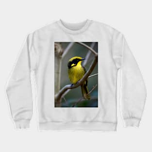 Checking You Out Crewneck Sweatshirt